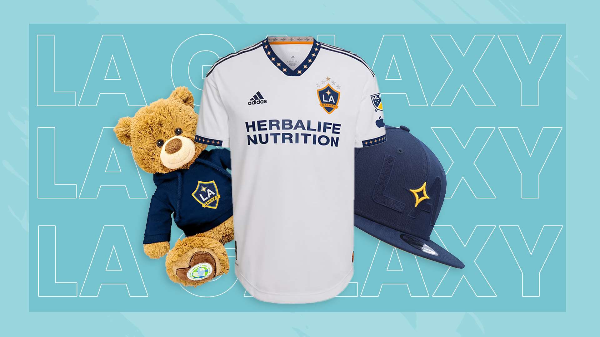 提供了强有 提供了强有